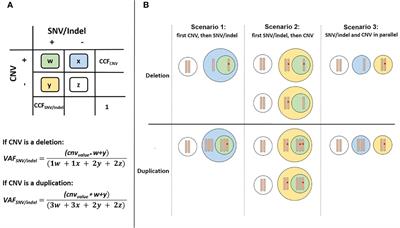 Clonal Evolution at First Sight: A Combined Visualization of Diverse Diagnostic Methods Improves Understanding of Leukemic Progression